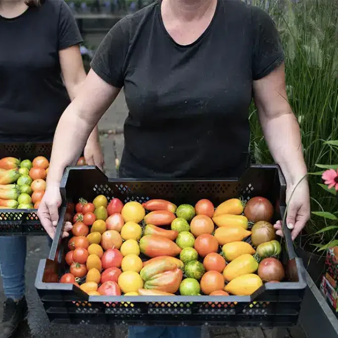 Agriculture - Maraîchage - Pepinieres la gaume